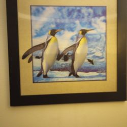 3D Penguin Picture