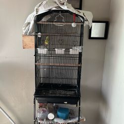 birdcage