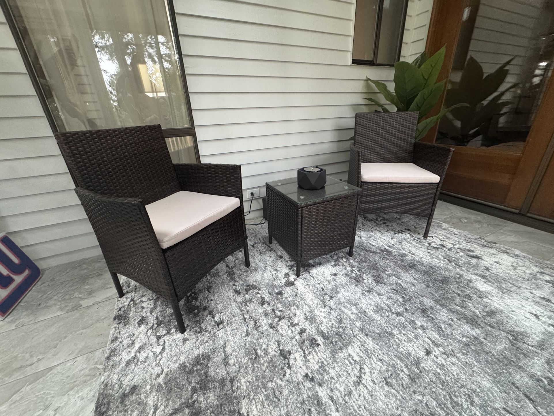 Sunroom/patio furniture (2 Chairs/table) W/ Plant And Rug