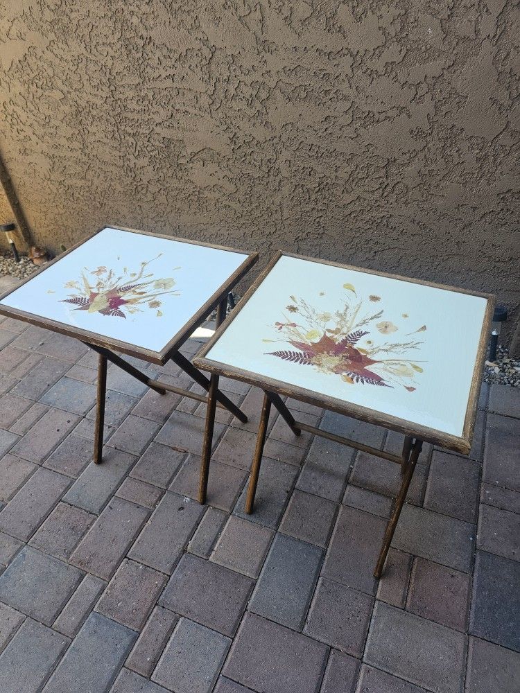 Mid Century Floral Scheibe TV Trays