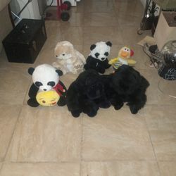 Teddy Bears 6 for $3