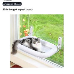 Cat Hammock (never opened)