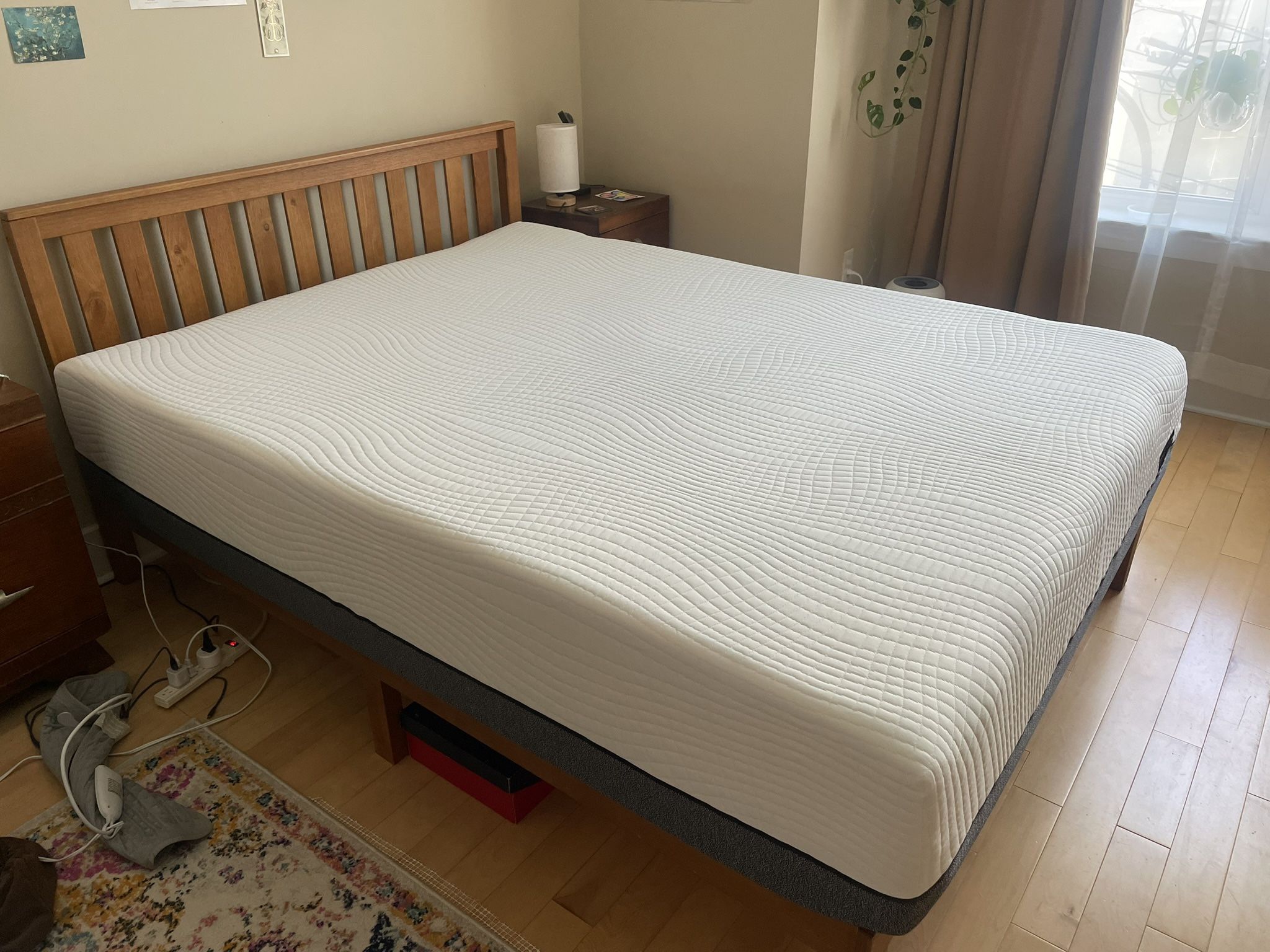 Sleep Science 13 Inch Queen Mattress