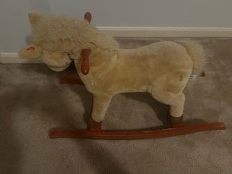 This is a Donkey