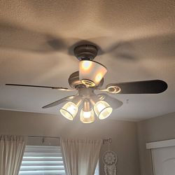 Ceiling Fan w/ Lights