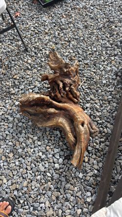 LARGE BURL WOOD WITH HANGER