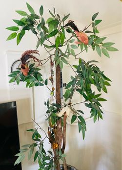 Ficus tree faux