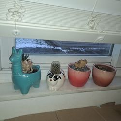 (4) Planters! All For $20.00. 