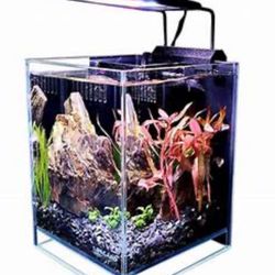 New Low Iron 2.65 Ultra-Clear Aquarium, Filter/Pump, W/ 5” Full-Spectrum LED Lighting
