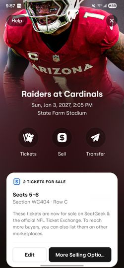 Raiders at Arizona Cardinals