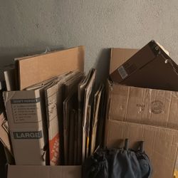 Boxes (free)
