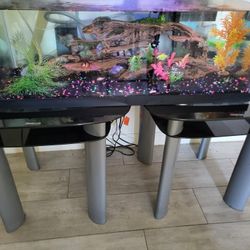 Glass Black And Silver Set