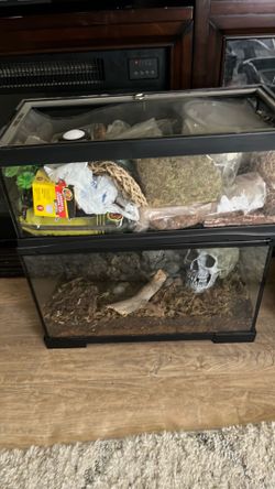 Assortment of terrarium tanks