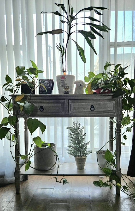 Console Table with 2 drawers / Mueble con 2 Cajones