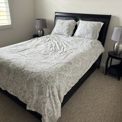 Bedbug Set 