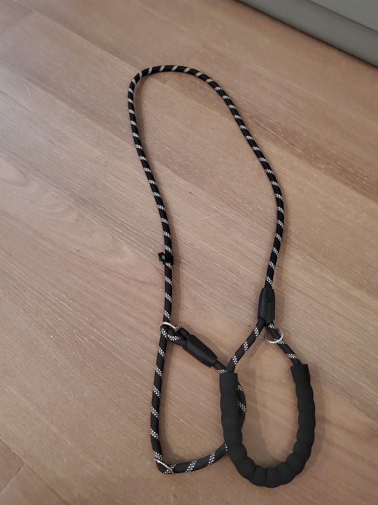 Dog Training Leash