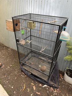 Bird Coop