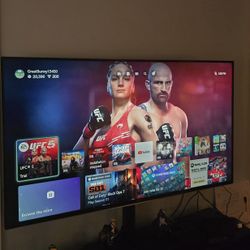 65 Inch Samsung on Sanus Stand