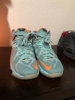 Lebron Mint size 8.5