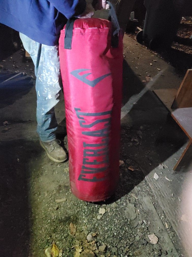 EVERLAST Heavy Bag