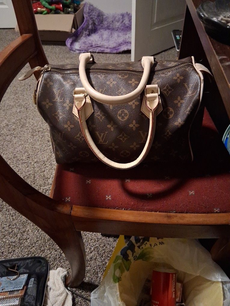 Louis Vuitton Purse