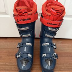 Ski boots 30-30.5 (Atomic Hawk Ultra 110)