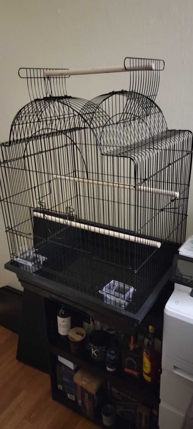 Bird Cage