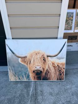 Large Highland Cow Framed Canvas Wall Art