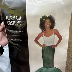Adults Little Mermaid Costume Size S
