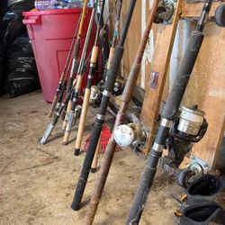 Polls And Rods 