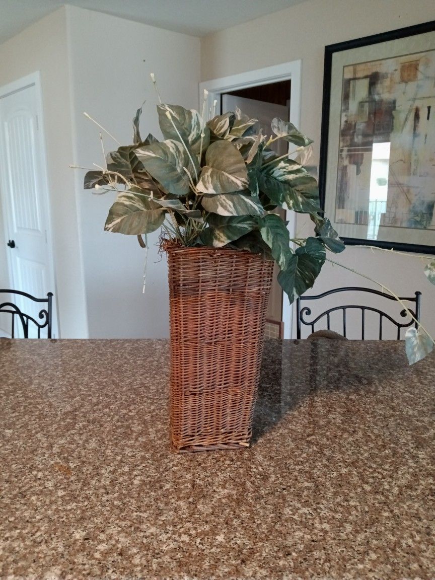 Decorative, Artificial, Plant, Plants