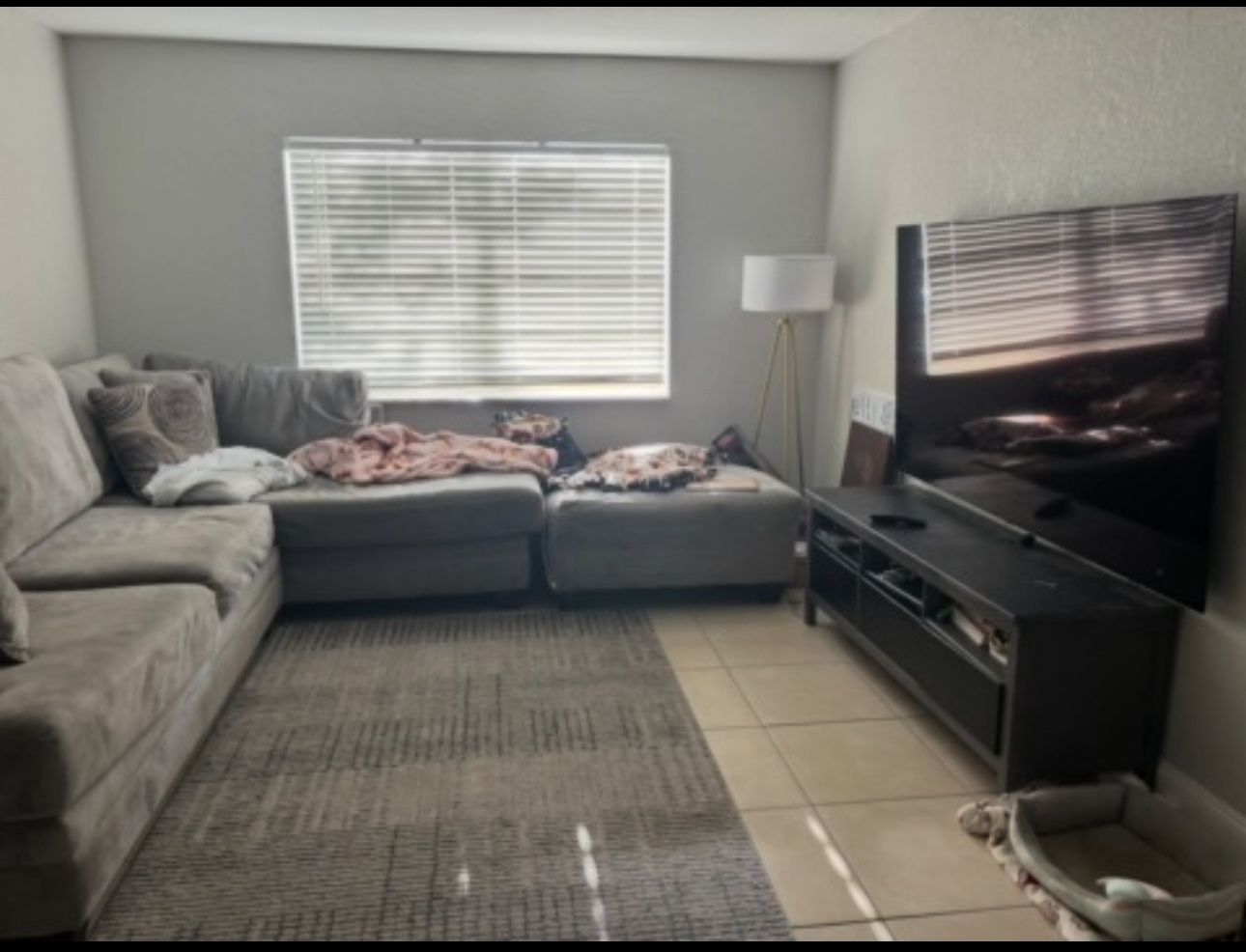Sectional Couch