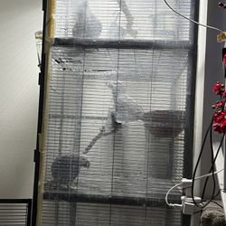 Large Cage For Your Pet 