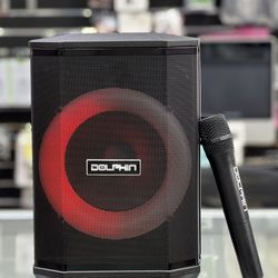 2400W Portable Bluetooth Speaker w/ wireless mic