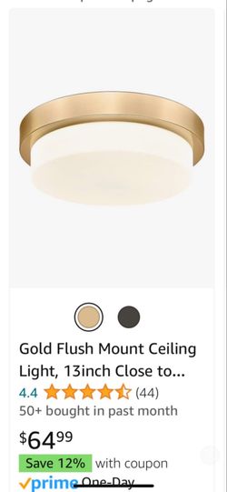 Ceiling Light Brand New 