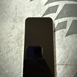 iPhone 13 Pro Max 256G