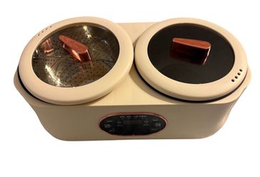 Dual Pot Electric Multi-Cooker