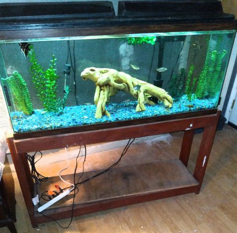 55 Gallon Aquarium Just Add Your Fish And Water Complete With Stand +++