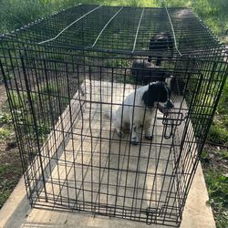 XL Dog Crate