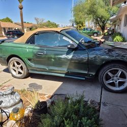 Mustang for sale
