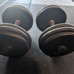 55lb Dumbbell Set