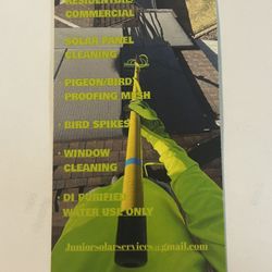 Rain Gutter Cleaning 