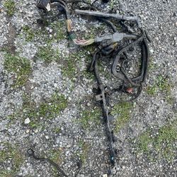 Engine Harness