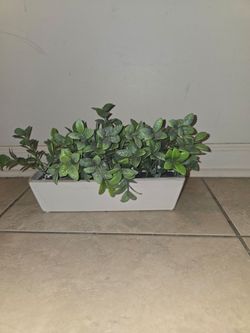Artificial Greenery Plant in White Ceramic Planter