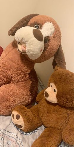 Bear and dog