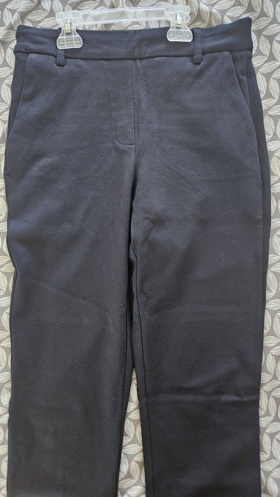 New Navy Blue Women's Pant