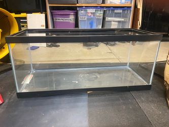 35 Gallon Reptile Tank with Hamster supplies