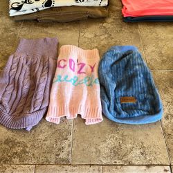 small dog clothes