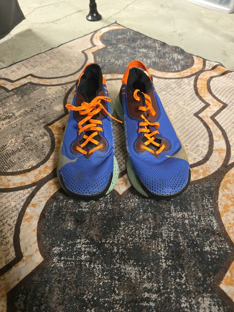 Gore-tex Nike Trail Pegasus Gtx Size 13