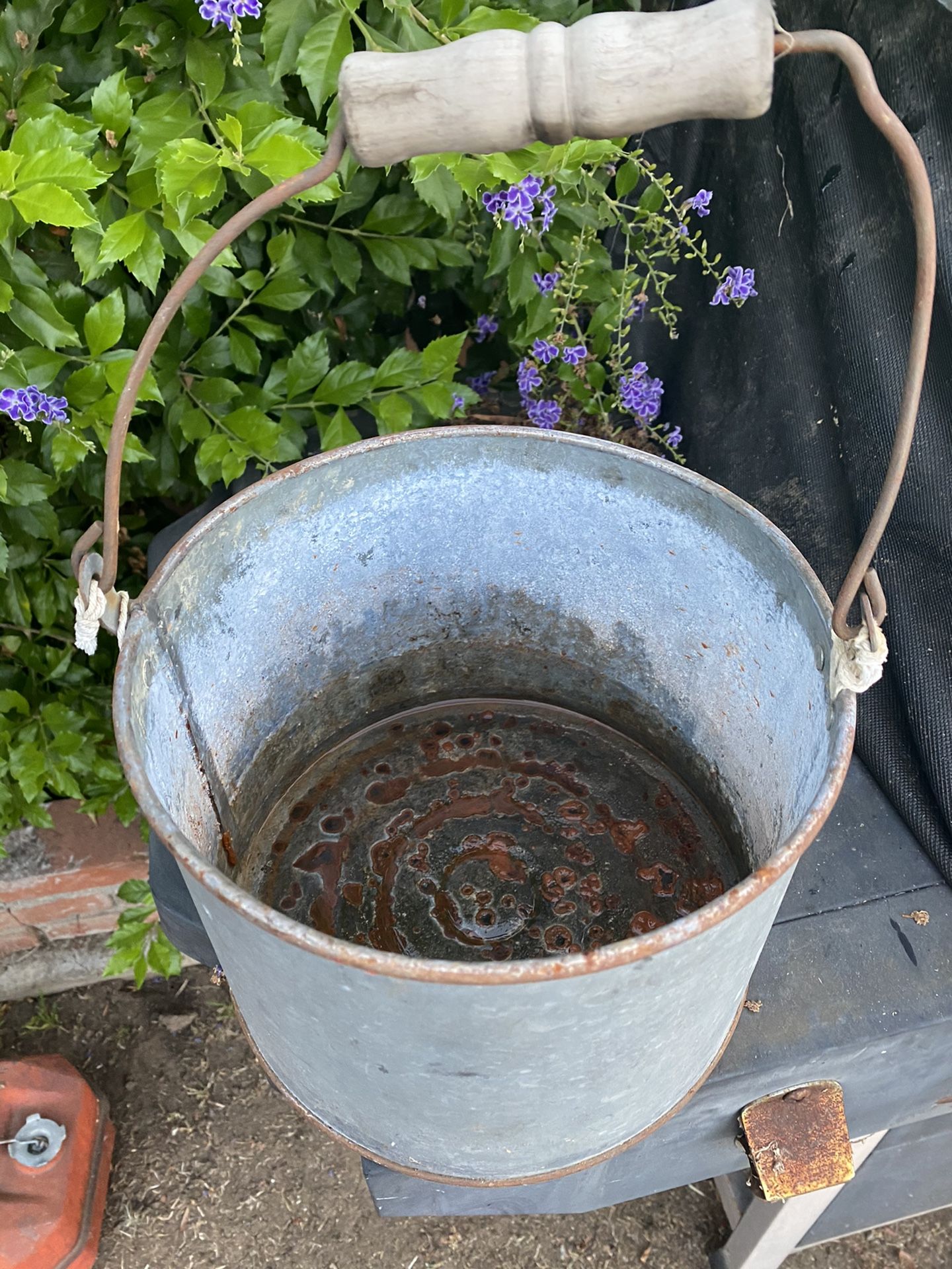 Small galvanized bucket with lid minow vintage